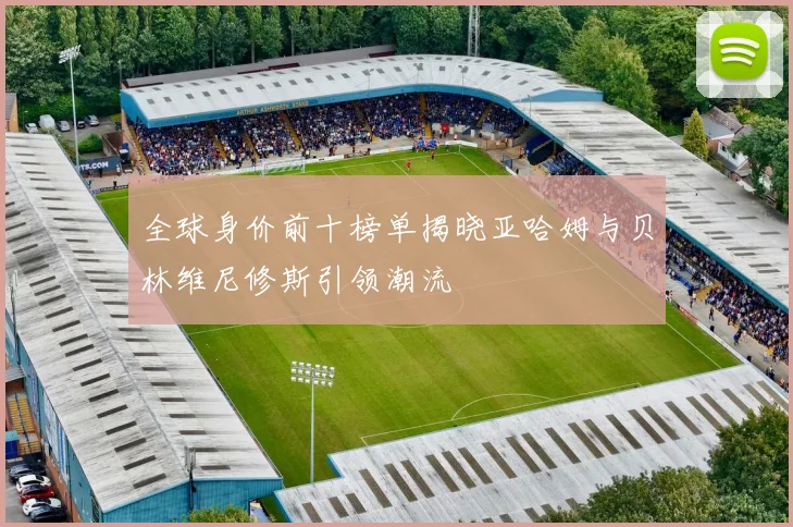 全球身价前十榜单揭晓亚哈姆与贝林维尼修斯引领潮流