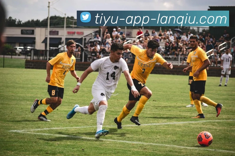 篮球赌注服务体系